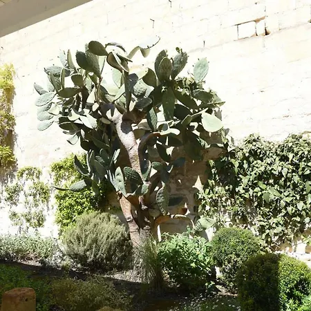 Il Giardino Di Benedetta *