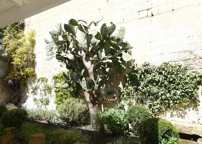 Il Giardino Di Benedetta 4*