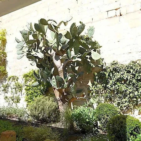 住宿加早餐酒店 Il Giardino Di Benedetta 4*