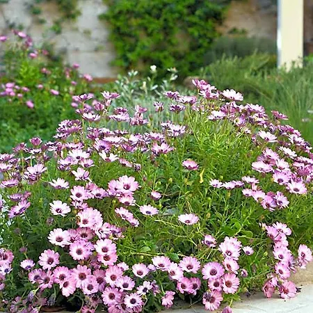 Il Giardino Di Benedetta Отель типа 