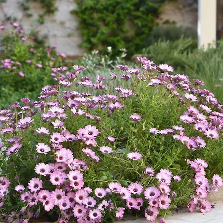 Il Giardino Di Benedetta Bed and Breakfast 4*