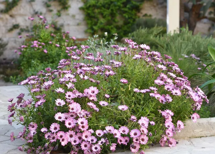 Il Giardino Di Benedetta Bed & Breakfast 4*